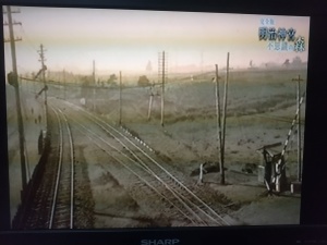 NHK　2016年放送　『完全版　明治神宮　不思議の森』