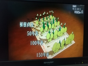 NHK　2016年放送　『完全版　明治神宮　不思議の森』