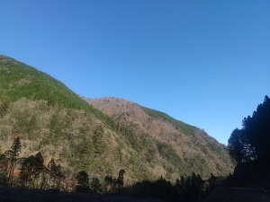 今いるところは朝から夕方までずっと日陰さあ 今いるところは朝から夕方までずっと日陰さあ