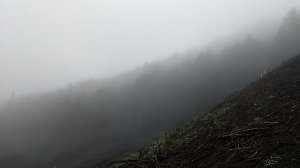 今日は雨かと思ってたのに降らなかったなあ