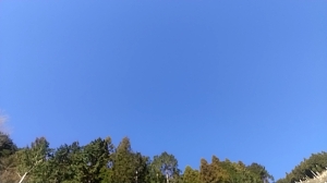 青い空！素晴らしい～♪